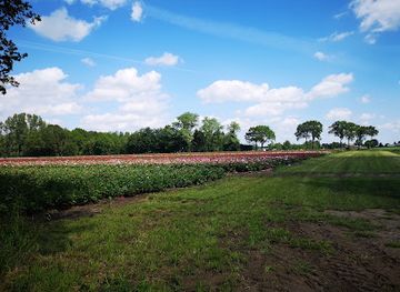 netherlands/drenthe/attraction/de-heksehoeve