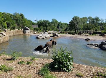 Omaha's Henry Doorly Zoo and Aquarium