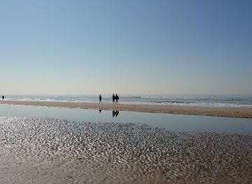netherlands/amsterdam/attraction/beach-bloemendaal