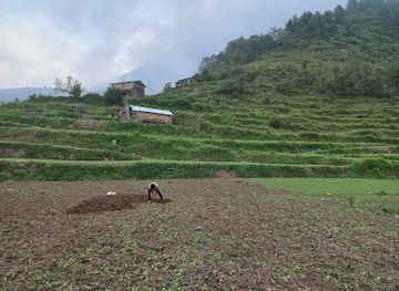 nepal/poon-hill/attraction/dhaku