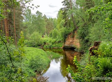 latvia/gauja-river/attraction/vejinu-alas