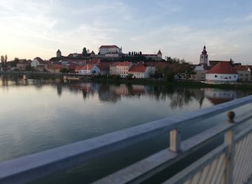 slovenia/ptuj/attraction/mestni-park