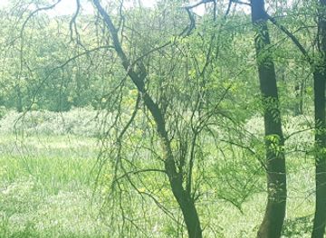 romania/giurgiu/attraction/fantana