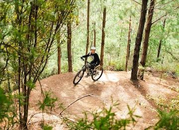 new-zealand/paihia/attraction/paihia-mountain-bikes