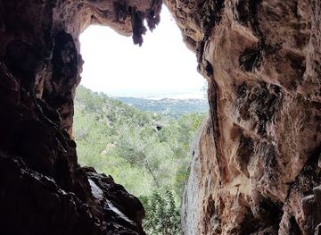 spain/mallorca/attraction/cova-dels-pastors