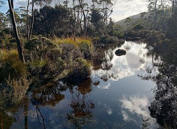 australia/mount-field-national-park/attraction/tarn-shelf