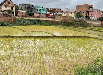 madagascar/analamanga/attraction/ambohitantely-reserve