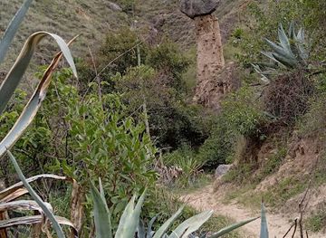 peru/huanuco/attraction/area-turistica-puihuan-de-yanayacu