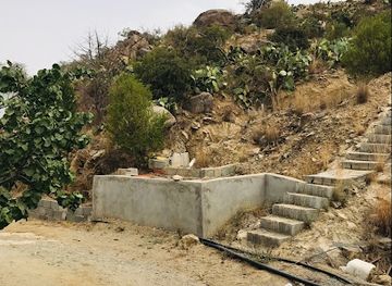 saudi-arabia/al-baha/attraction/hadbat-al-talha