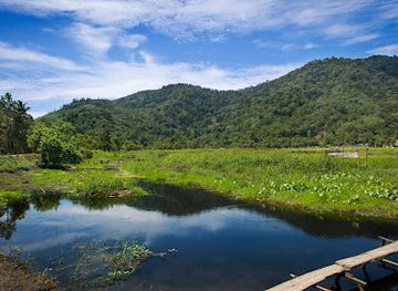 indonesia/west-kalimantan/attraction/gunung-palung-national-park