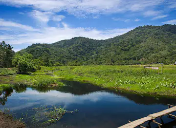 Gunung Palung National Park