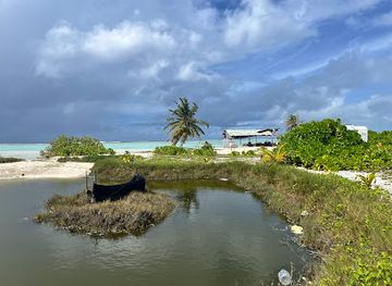 maldives/kaafu-atoll/attraction/bunny-pet-pasture