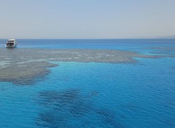 egypt/mount-sinai/attraction/napoleon-reef-diving-spot