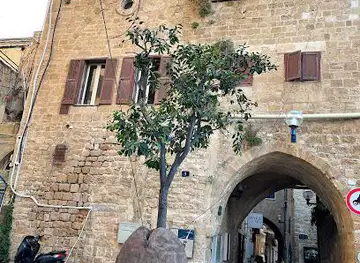 Suspended Orange Tree