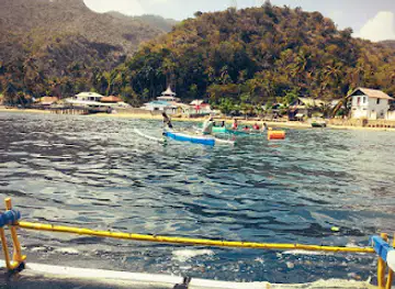 Wisata Hiu Paus Botubarani