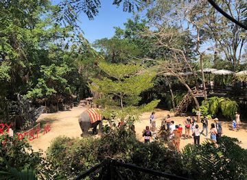 thailand/pattaya/attraction/pattaya-elephant-village