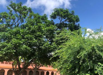 kenya/mombasa-beach/attraction/mombasa-fun-and-storytelling