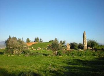 morocco/tangier/attraction/cromlech-de-mzoura