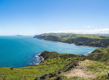 new-zealand/west-coast/attraction/west-wind-wind-farm