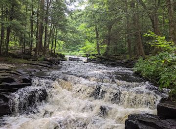 Promised Land State Park