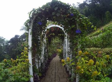 philippines/cebu-city/attraction/terrazas-de-flores-botanical-garden