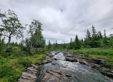 sweden/are/attraction/ulladalens-fors
