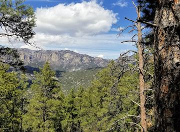new-mexico/sandia-peak-tramway/attraction/sandia-mountain-wilderness