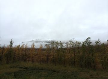 iceland/langjökull-glacier/attraction/haukadalsskogur-woods