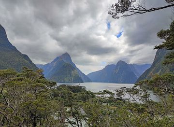new-zealand/milford-sound/attraction/piopiotahi-milford-lookout-walk