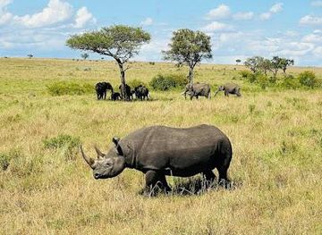 kenya/nairobi/attraction/african-home-adventure-safaris