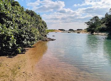 japan/ishigaki-island/attraction/todoroki-beach