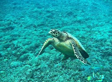 indonesia/gili-islands/attraction/luckys-boat-adventure