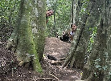 costa-rica/monteverde/attraction/children-s-eternal-rain-forest-bajo-del-tigre