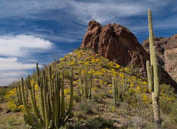 arizona/organ-pipe-cactus-national-monument/attraction/estes-canyon-bull-pasture-trail-head