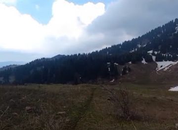 kazakhstan/kolsai-lakes-national-park/attraction/chistyy-log