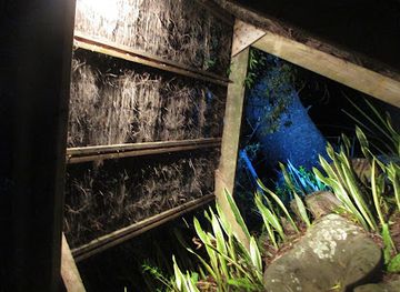 norfolk-island/slaughter-bay/attraction/wonderland-by-night