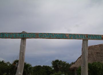 mexico/northern-mexico/attraction/cozumel-pearl-farm