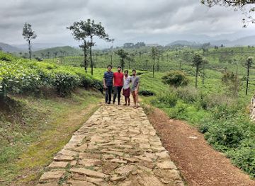 india/tamil-nadu/attraction/nallamudi-view-point