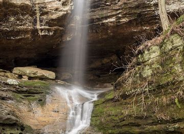 Ferne Clyffe State Park