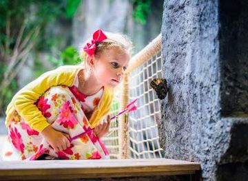 czechia/prague/attraction/butterfly-house