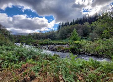 united-kingdom/wigtownshire/attraction/galloway-forest-park