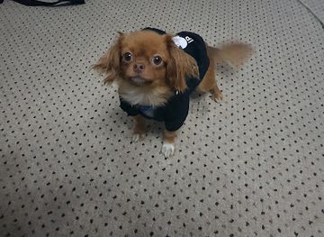 romania/arad/attraction/paul-s-home