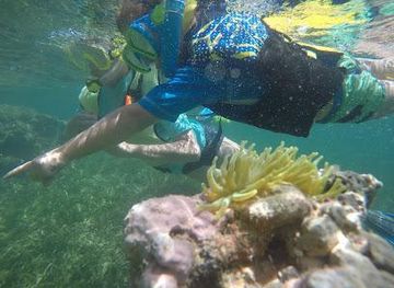 puerto-rico/vieques/attraction/pirate-snorkeling-shack