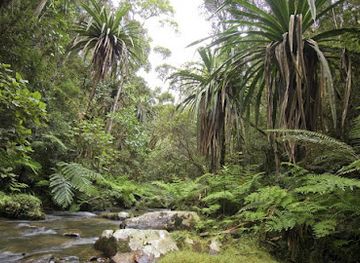 madagascar/atsinanana/attraction/zahamena-national-park