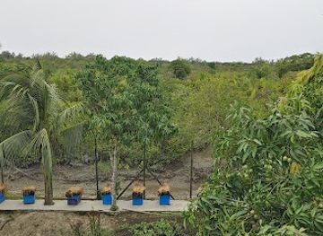 bangladesh/sundarbans-national-park/attraction/forest-camp