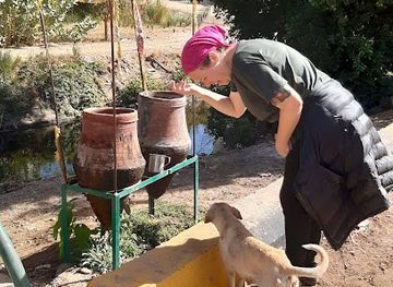 egypt/aswan/attraction/public-water-point