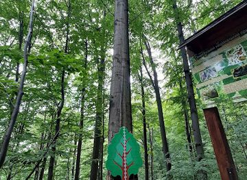 ukraine/yaremche/attraction/naystarishe-derevo