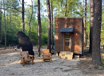 mississippi/the-pine-belt/attraction/longleaf-piney-resort