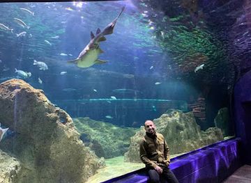 mexico/los-altos-de-jalisco/attraction/acuario-michin-guadalajara