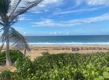 puerto-rico/culebra-island/attraction/playa-resaca